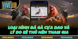 Loại Hình Đá Gà Cựa Dao Và Lý Do Kê Thủ Nên Tham Gia